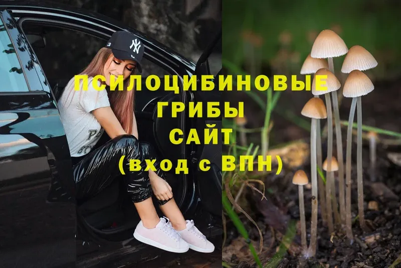 Галлюциногенные грибы MAGIC MUSHROOMS  Заволжье 